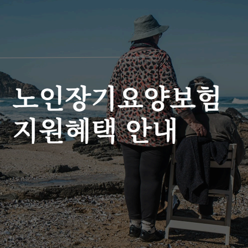 노인장기요양보험