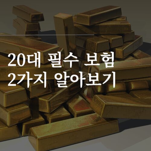 20대 필수 보험