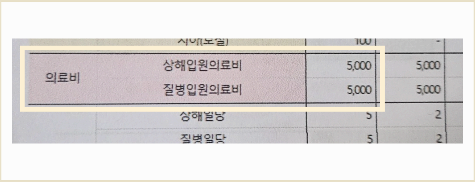 20대 필수 보험