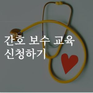 간호 보수 교육