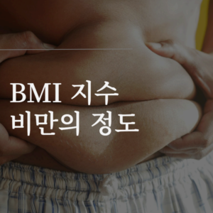 BMI 지수