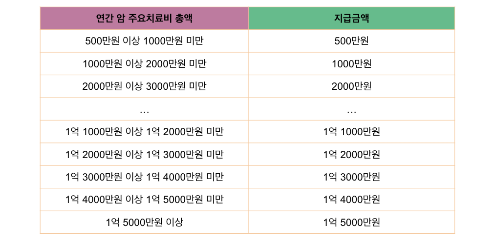 암 주요 치료비 지급금액