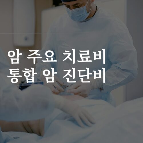 암 주요 치료비