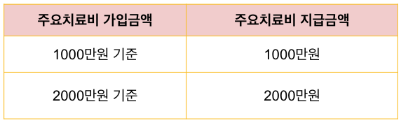 뇌 심장 보험 주요치료비 지급금액
