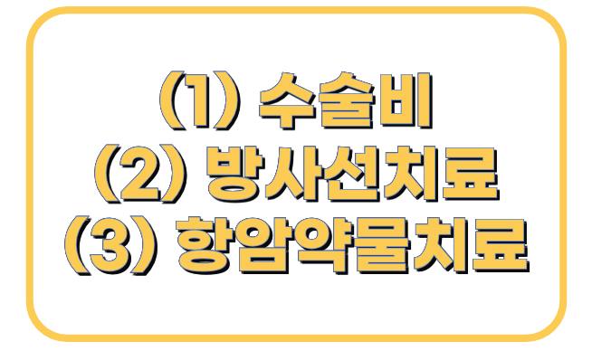암주요치료비 종류