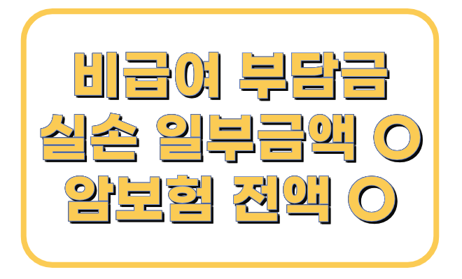 중입자 암치료 비용 준비방법